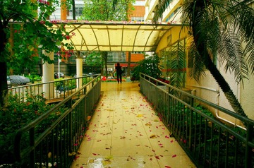 IMGP2302.jpg