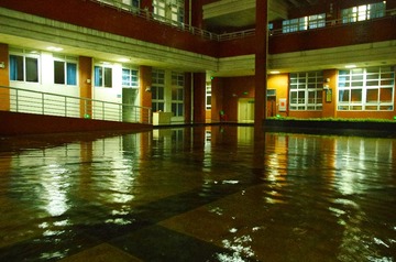 IMGP2355.jpg