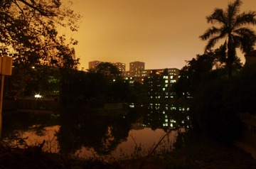 IMGP2364.jpg