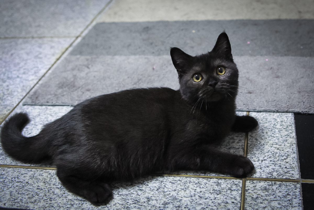 黑仔无牙的第一张写真