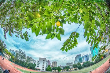 MCX_9796_HDR.JPG