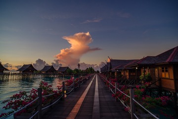 _IMG7433