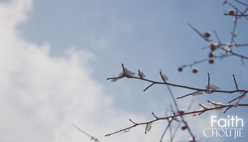 山里雪积得很厚