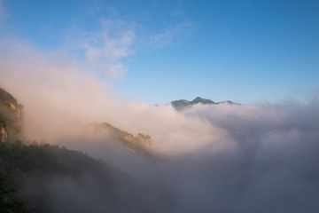 IMG_3463fu