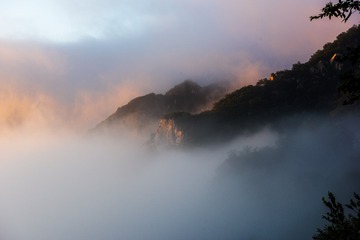 IMG_3469fu