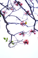 68F5339C-14D9-424B-9A03-BB2C88B11AE6/L0/001