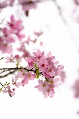 4B8ED4F9-54E8-4048-B028-46831C348C05/L0/001