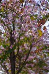 BD9FD7DE-C1F5-47D3-92EC-0DD7581764AD/L0/001