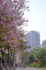 340F560E-3EA9-45E5-875A-BC12C9B97684/L0/001