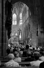 DSC07539.JPG
