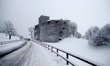 DSC05159.JPG