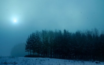 DSC04700.JPG