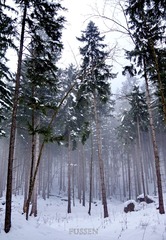 DSC08744.JPG