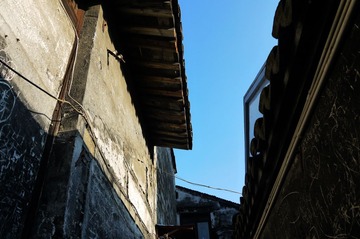 P1010003.JPG