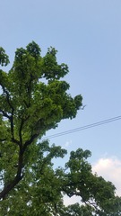 358464