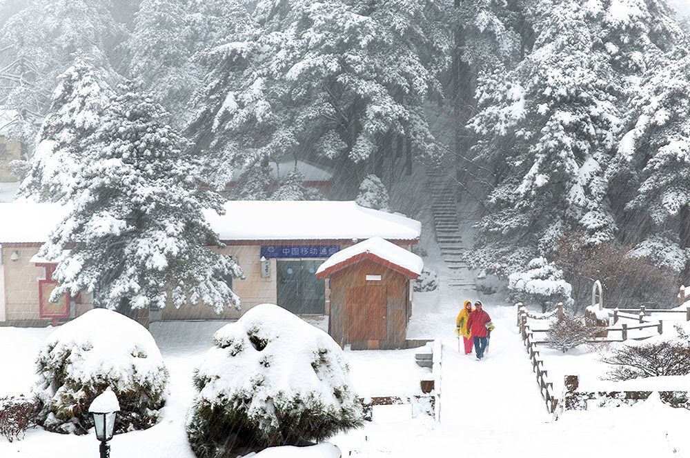 黄山大雪纷飞，吸引无数摄影爱好者冒雪上山