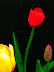 RIMG0482.jpg