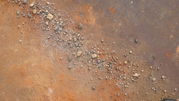 ORG_DSC04336