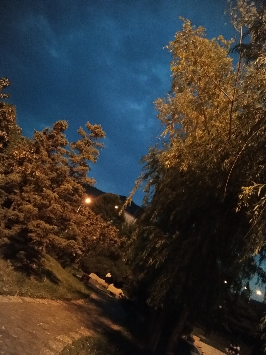 广场小路.<br />
让我感觉清净,舒心.