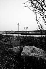 IMG_3588.jpg