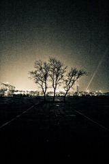 IMG_3650.jpg