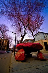 IMG_2744-1.jpg