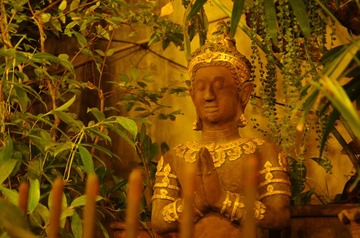 IMGP1190.JPG