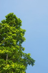 IMGP2264.jpg