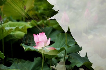 001