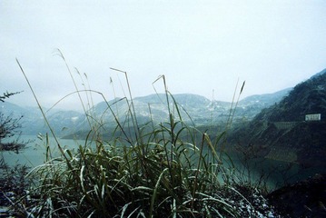 调整大小 Batch Pict0099
