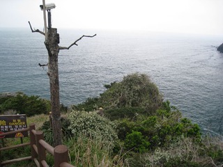 IMG_7474.JPG