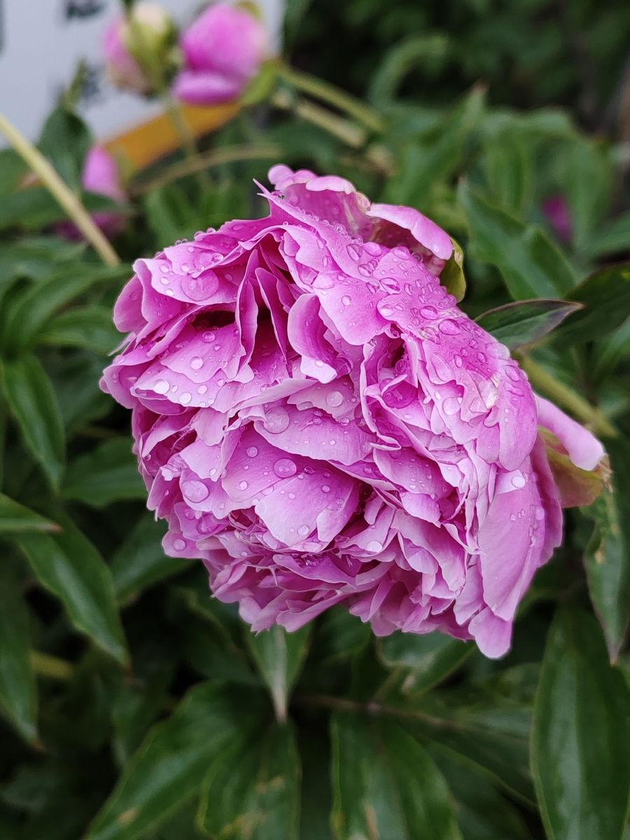 1/125通辽市摄影摄像爱好者山东摄影家俱乐部天津摄影论坛我爱街拍