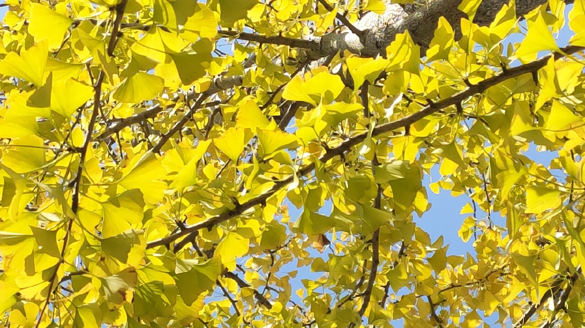 674_1200竖版 竖屏