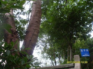 SDC12910