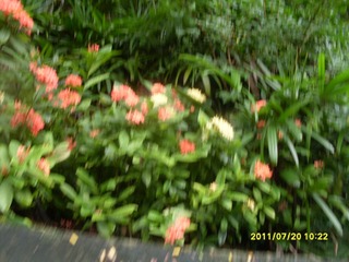 SDC12908