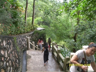 SDC12911