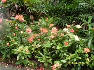 SDC12907