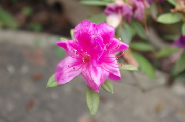 IMGP3297.JPG