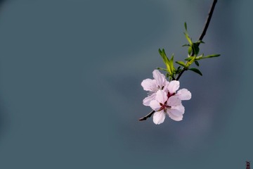 118170