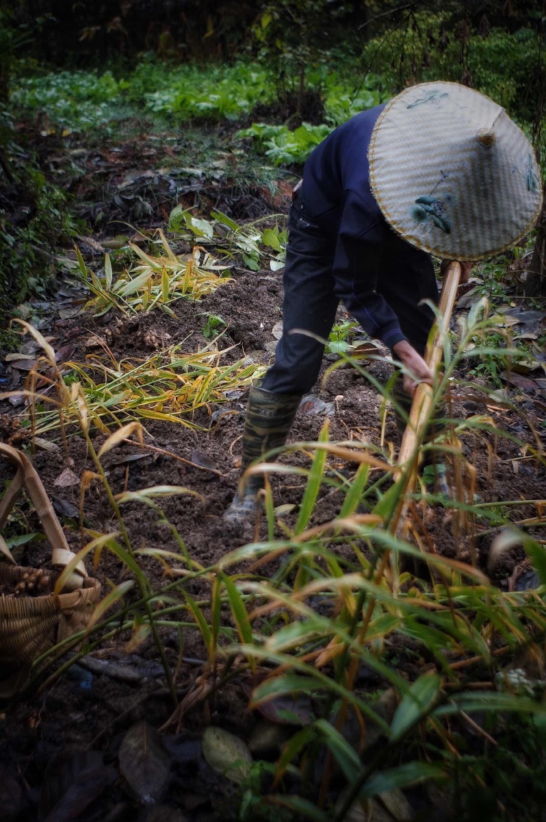 农活!农民的生活.