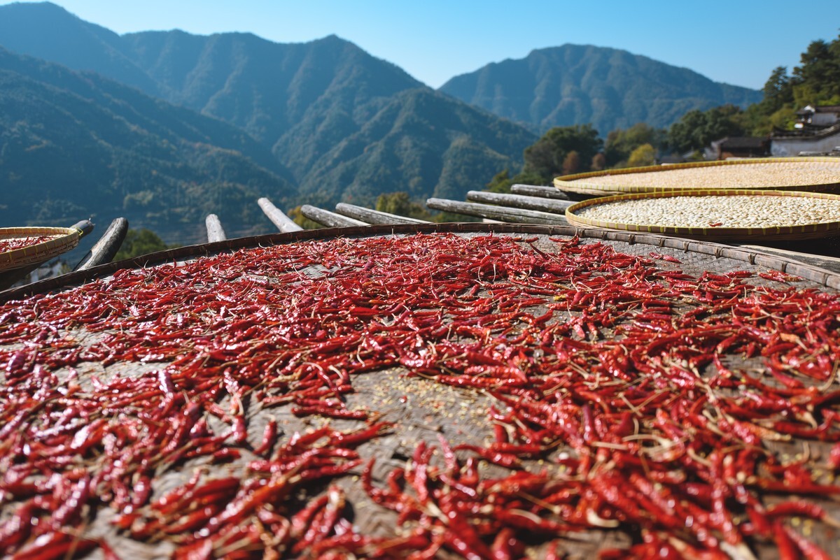 国内特产排名,山东十大特产排名