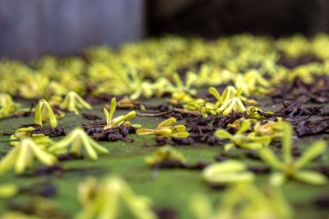 _DSC3850_1_2.JPG