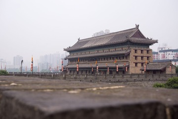 _DSC8187-编辑