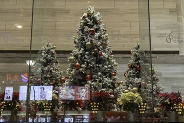 IMG_0024-1