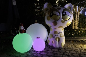 IMG_0038-1