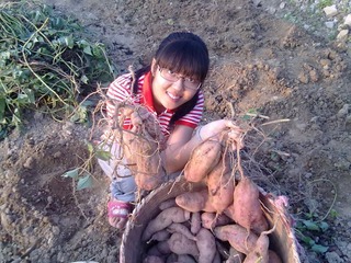 20121110284.jpg