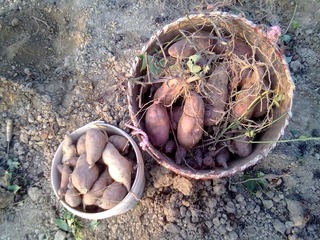 20121110286.jpg