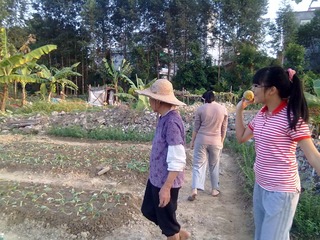 20121110291.jpg