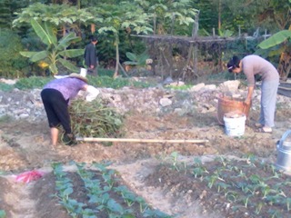 20121110293.jpg