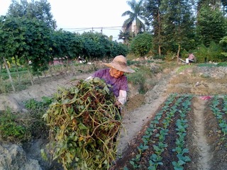 20121110295.jpg